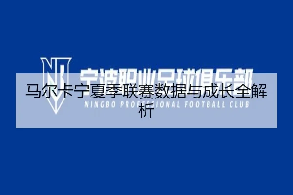 马尔卡宁夏季联赛数据与成长全解析